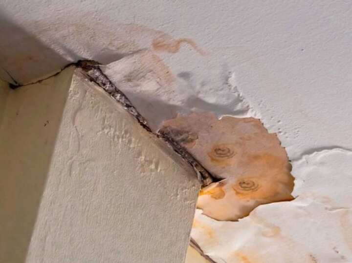 Water Damage Pensacola 3 water damage ann arbor; don't ignore water damage problems